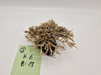 Garnelenbaum S 6x13
