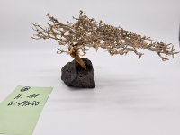 Garnelenbaum M 11x20