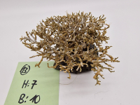 Garnelenbaum S 7x10